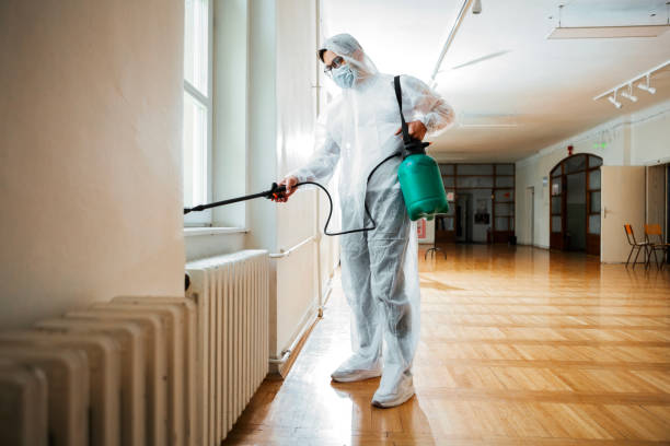 Best Affordable Pest Control Services  in Bridgeview, IL